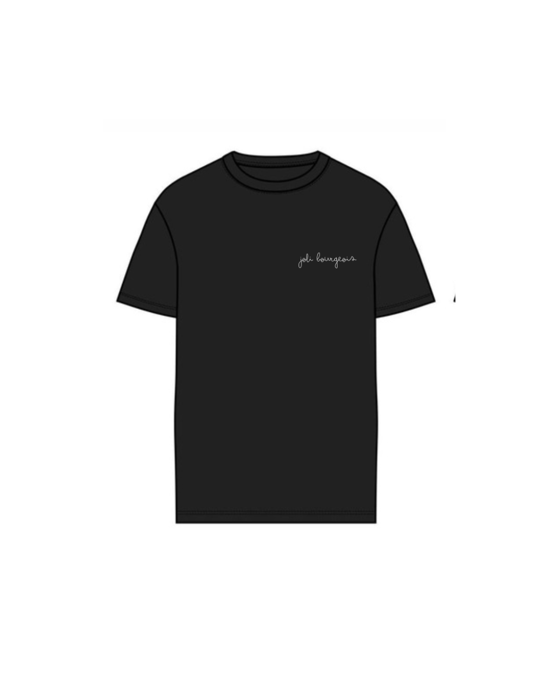 TEE-SHIRTS DP HOMME